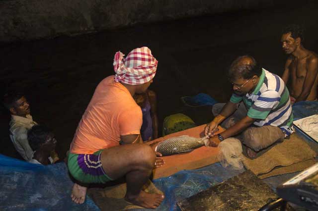 State Fisheries Development Corporation Ltd. (SFDC)